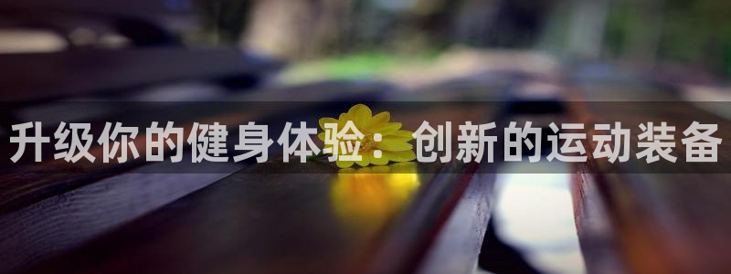 凯捷体育官方网站