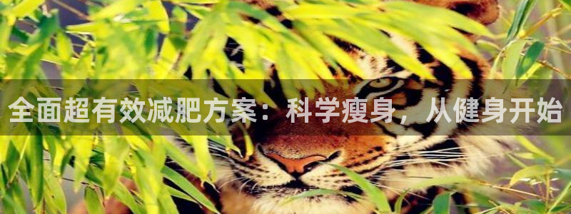 凯捷体育官网