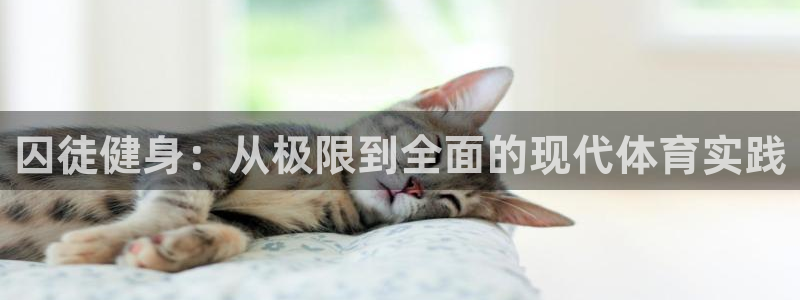 凯捷体育官方平台
