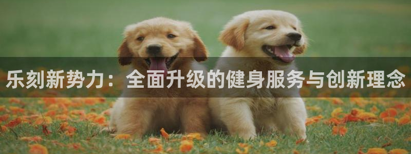 凯捷体育登录