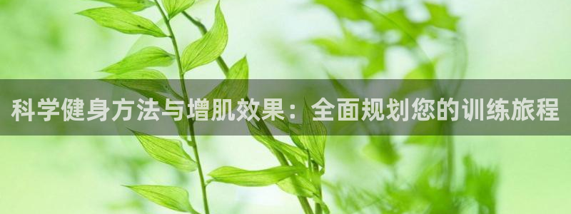 凯捷体育官方网站