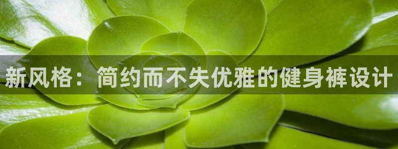 凯捷体育代理