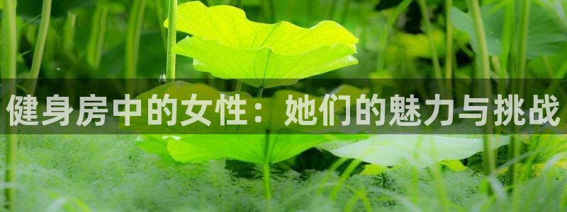凯捷体育娱乐